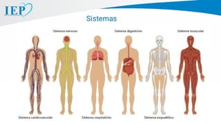 Sistemas
 