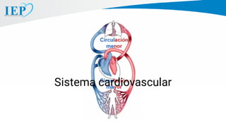 Sistema cardiovascular
 
