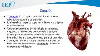 Coração
● O coração é um órgão muscular, localizado na
caixa torácica, entre os pulmões.
● Sua base ﬁca na parte superior – átrios – e o ápice
na parte inferior
● Funciona como uma bomba dupla simultanea,
enquanto o lado esquerdo bombeia o sangue
arterial para as diversas partes do corpo, o lado
direito bombeia o sangue venoso para os pulmões.
● O coração funciona impulsionando o sangue por
meio de dois movimentos: contração - sístole e
relaxamento - diástole.
 