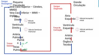 Veia Cava Superior – Cérebro,
MMSS
Veia Cava Inferior – MMII –
órgãos.
Átrio
Direito
Ventrículo
Direito
Artéria
Pulmonar
Válvula
tricúspide
Válvula Semilunar
Pulmonar
Pulmã
o
Veias
Pulmonares
Átrio
Esquerdo
Ventrículo
Esquerdo
Válvula bicúspide /
mitral
Artéria
Aorta
Órgãos e
Tecidos
Válvula semilunar
aórtica
Força de
Contração
Trocas
Gasosas
O2
CO
2
Pequena
Circulação
Grande
Circulação
Sangue
Desoxigenad
o Sangue
Oxigenado
 