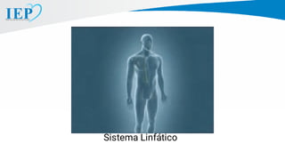 Sistema Linfático
 