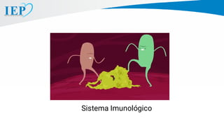 Sistema Imunológico
 