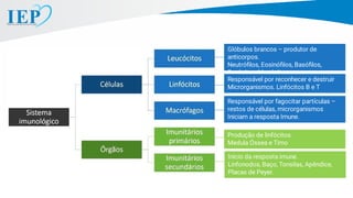 Glóbulos brancos – produtor de
anticorpos.
Neutróﬁlos, Eosinóﬁlos, Basóﬁlos,
Fagócitos, Monócitos.
Responsável por reconhecer e destruir
Microrganismos. Linfócitos B e T
Responsável por fagocitar partículas –
restos de células, microrganismos
Iniciam a resposta Imune.
Produção de linfócitos.
Medula Óssea e Timo
Inicio da resposta imune.
Linfonodos, Baço, Tonsilas, Apêndice,
Placas de Peyer.
 