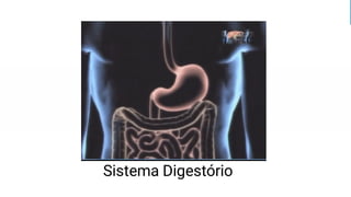 Sistema Digestório
 