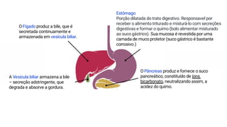 Estômago
Porção dilatada do trato digestivo. Responsavel por
receber o alimento triturado e misturá-lo com secreções
digestivas e formar o quimo (bolo alimentar misturado
ao suco gástrico). Sua mucosa é revestida por uma
camada de muco protetor (suco gástrico é bastante
corrosivo.)
O Fígado produz a bile, que é
secretada continuamente e
armazenada em vesícula biliar.
O Pâncreas produz e fornece o suco
pancreático, constituído de íons
bicarbonato, neutralizando assim, a
acidez do quimo.
A Vesícula biliar armazena a bile
– secreção adstringente, que
degrada e absorve a gordura.
 