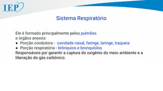 Ele é formado principalmente pelos pulmões
e órgãos anexos:
● Porção condutora - cavidade nasal, faringe, laringe, traqueia
● Porção respiratória - brônquios e bronquíolos
Responsáveis por garantir a captura do oxigênio do meio ambiente e a
liberação do gás carbônico.
Sistema Respiratório
 