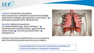 Inspiração: Entrada de ar nos pulmões.
Nesse processo há a contração dos músculos intercostais
abaixamento o diafragma expandindo a caixa torácica
diminuição da pressão interna entrada do ar
.
Expiração: Saída do ar dos pulmões.
As costelas abaixam-se eleva o diafragma
relaxamento da musculatura torácica diminuição do
espaço torácico aumento da pressão interna
expulsando o ar.
O pulmão nunca ﬁcará completamente sem ar, uma pequena
parte ﬁca dentro dos alvéolos para evitar que se colabem.
A quantidade de movimentos respiratórios realizados por
minuto corresponde a frequência respiratória.
 