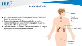 Sistema Endócrino
● Formado por glândulas endócrinas localizadas em diferentes
locais do corpo humano.
● Responsáveis pela produção e excreção de hormônios
circulantes no sangue que percorrem o corpo até chegar aos
órgãos-alvo sobre os quais atuam.
● Atua em conjunto ao sistema nervoso coordenando as funções
do organismo humano através da hipóﬁse.
 