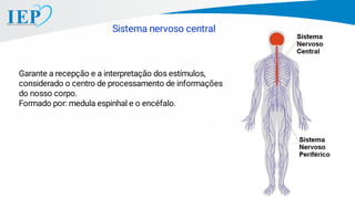 Garante a recepção e a interpretação dos estímulos,
considerado o centro de processamento de informações
do nosso corpo.
Formado por: medula espinhal e o encéfalo.
Sistema nervoso central
 