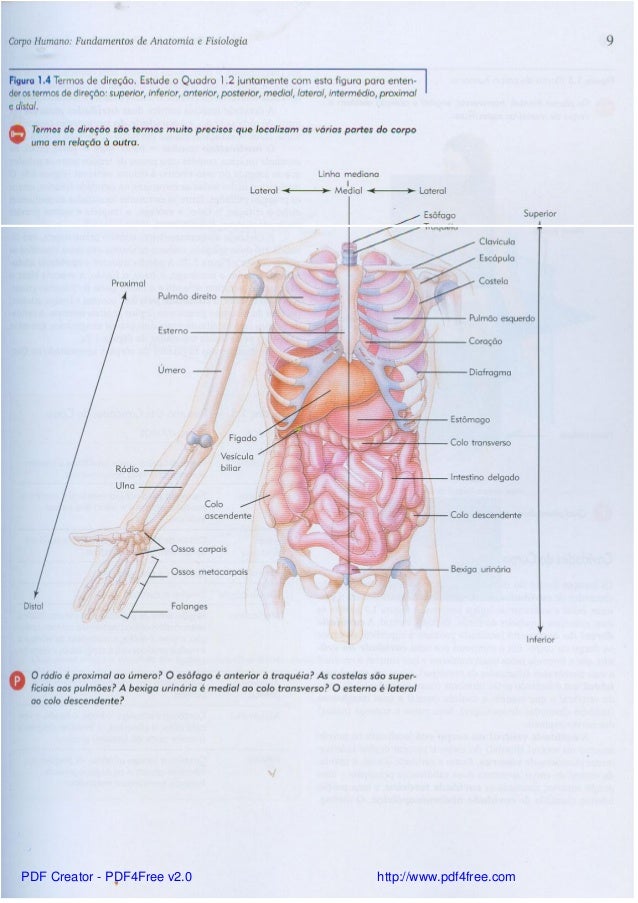 Anatomia e fisiologia pdf