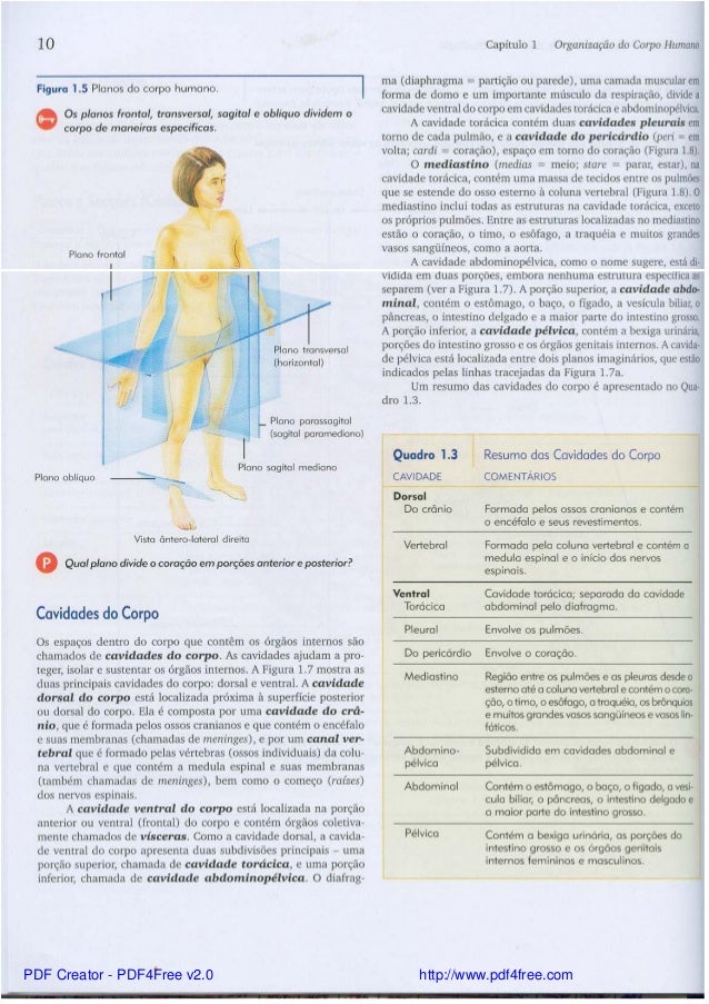 Anatomia e fisiologia tortora