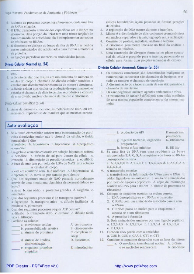 Anatomia Y Fisiologia Tortora Pdf