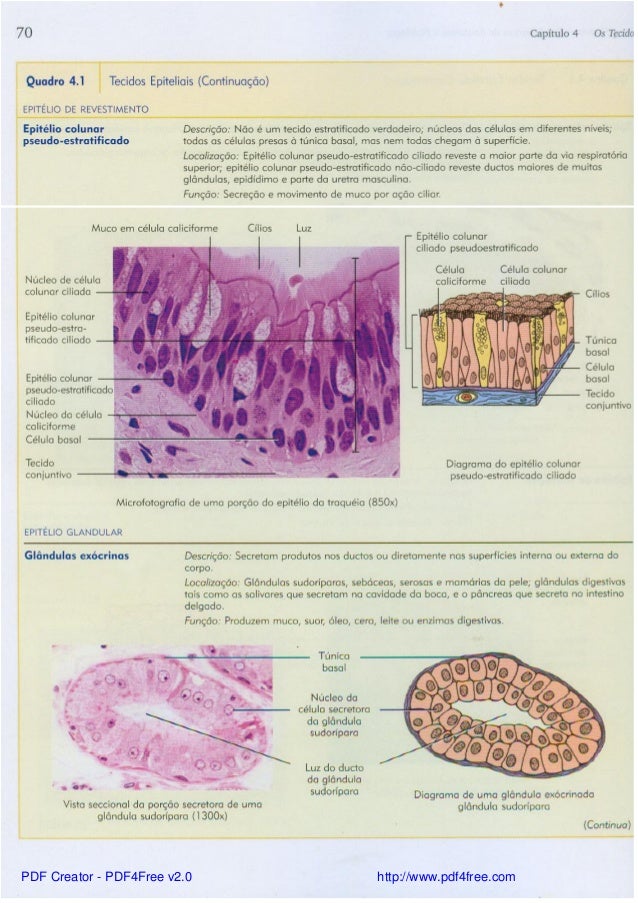 Libro Tortora Anatomia Y Fisiologia Pdf 13 Edicion - Caja de Libro