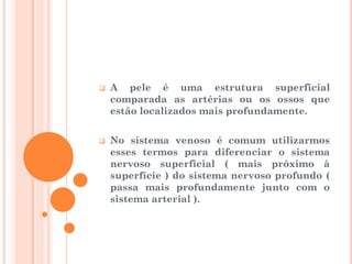  A pele é uma estrutura superficial
comparada as artérias ou os ossos que
estão localizados mais profundamente.
 No sistema venoso é comum utilizarmos
esses termos para diferenciar o sistema
nervoso superficial ( mais próximo à
superfície ) do sistema nervoso profundo (
passa mais profundamente junto com o
sistema arterial ).
 