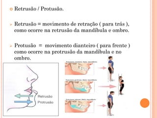  Retrusão / Protusão.
 Retrusão = movimento de retração ( para trás ),
como ocorre na retrusão da mandíbula e ombro.
 Protusão = movimento dianteiro ( para frente )
como ocorre na protrusão da mandíbula e no
ombro.
 