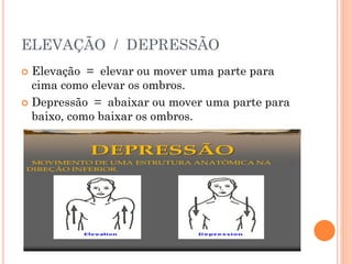 ELEVAÇÃO / DEPRESSÃO
 Elevação = elevar ou mover uma parte para
cima como elevar os ombros.
 Depressão = abaixar ou mover uma parte para
baixo, como baixar os ombros.
 