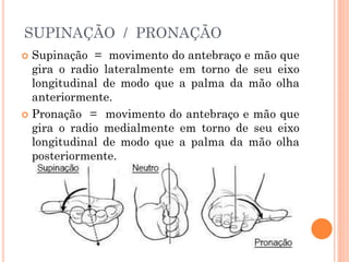 SUPINAÇÃO / PRONAÇÃO
 Supinação = movimento do antebraço e mão que
gira o radio lateralmente em torno de seu eixo
longitudinal de modo que a palma da mão olha
anteriormente.
 Pronação = movimento do antebraço e mão que
gira o radio medialmente em torno de seu eixo
longitudinal de modo que a palma da mão olha
posteriormente.
 