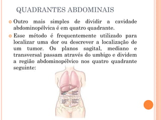 QUADRANTES ABDOMINAIS
 Outro mais simples de dividir a cavidade
abdominopélvica é em quatro quadrante.
 Esse método é frequentemente utilizado para
localizar uma dor ou descrever a localização de
um tumor. Os planos sagital, mediano e
transversal passam através do umbigo e dividem
a região abdominopélvico nos quatro quadrante
seguinte:
 