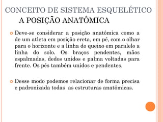 CONCEITO DE SISTEMA ESQUELÉTICO
 Deve-se considerar a posição anatômica como a
de um atleta em posição ereta, em pé, com o olhar
para o horizonte e a linha do queixo em paralelo a
linha do solo. Os braços pendentes, mãos
espalmadas, dedos unidos e palma voltadas para
frente. Os pés também unidos e pendentes.
 Desse modo podemos relacionar de forma precisa
e padronizada todas as estruturas anatômicas.
A POSIÇÃO ANATÔMICA
 