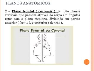 PLANOS ANATÔMICOS
2 – Plano frontal ( coronais ) = São planos
verticais que passam através do corpo em ângulos
retos com o plano mediano, dividindo em partes
anterior ( frente ), e posterior ( de trás ).
 