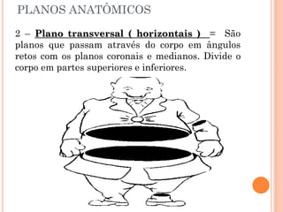 PLANOS ANATÔMICOS
2 – Plano transversal ( horizontais ) = São
planos que passam através do corpo em ângulos
retos com os planos coronais e medianos. Divide o
corpo em partes superiores e inferiores.
 
