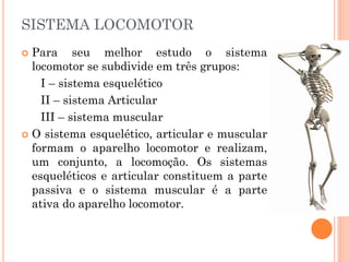 SISTEMA LOCOMOTOR
 Para seu melhor estudo o sistema
locomotor se subdivide em três grupos:
I – sistema esquelético
II – sistema Articular
III – sistema muscular
 O sistema esquelético, articular e muscular
formam o aparelho locomotor e realizam,
um conjunto, a locomoção. Os sistemas
esqueléticos e articular constituem a parte
passiva e o sistema muscular é a parte
ativa do aparelho locomotor.
 