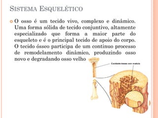 SISTEMA ESQUELÉTICO
 O osso é um tecido vivo, complexo e dinâmico.
Uma forma sólida de tecido conjuntivo, altamente
especializado que forma a maior parte do
esqueleto e é o principal tecido de apoio do corpo.
O tecido ósseo participa de um continuo processo
de remodelamento dinâmico, produzindo osso
novo e degradando osso velho
 