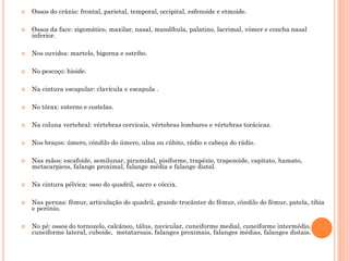  Ossos do crânio: frontal, parietal, temporal, occipital, esfenoide e etmoide.
 Ossos da face: zigomático, maxilar, nasal, mandíbula, palatino, lacrimal, vômer e concha nasal
inferior.
 Nos ouvidos: martelo, bigorna e estribo.
 No pescoço: hioide.
 Na cintura escapular: clavícula e escapula .
 No tórax: esterno e costelas.
 Na coluna vertebral: vértebras cervicais, vértebras lombares e vértebras torácicas.
 Nos braços: úmero, côndilo do úmero, ulna ou cúbito, rádio e cabeça do rádio.
 Nas mãos: escafoide, semilunar, piramidal, pisiforme, trapézio, trapezoide, capitato, hamato,
metacarpicos, falange proximal, falange média e falange distal.
 Na cintura pélvica: osso do quadril, sacro e cóccix.
 Nas pernas: fêmur, articulação do quadril, grande trocânter do fêmur, côndilo do fêmur, patela, tíbia
e perônio.
 No pé: ossos do tornozelo, calcâneo, tálus, navicular, cuneiforme medial, cuneiforme intermédio,
cuneiforme lateral, cuboide, metatarsais, falanges proximais, falanges médias, falanges distais.
 