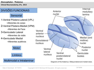 Date of download: 8/17/2015 Copyright © 2015 McGraw-Hill Education. All rights reserved.
Diagrams of the thalamus. Oblique...