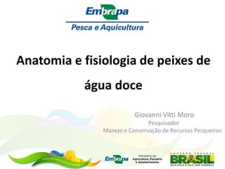 Anatomia e fisiologia de peixes de
água doce
Giovanni Vitti Moro
Pesquisador
Manejo e Conservação de Recursos Pesqueiros
 
