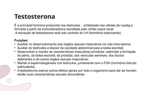 Testosterona
É a principal hormona produzida nos testículos , sintetizada nas células de Leydig e
formada a partir da androstenediona secretada pelo córtex supra renal.
A secreção de testosterona está sob controlo do LH (hormônio luteinizante).
Funções:
• Auxiliar no desenvolvimento dos órgãos sexuais masculinos na vida intra-uterina;
• Auxiliar os testículos a descer da cavidade abdominal para a bolsa escrotal;
• Desenvolver e manter as características masculinas primárias: estimular a formação
do pénis, da bolsa escrotal, da próstata, das vesículas seminais, dos ductos
deferentes e de outros órgãos sexuais masculinos;
• Manter a espermatogénese nos testículos, juntamente com o FSH (hormônio folículo
estimulante),
• A testosterona exerce outros efeitos gerais por todo o organismo para dar ao homem
adulto suas características sexuais secundárias.
 