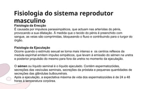 Fisiologia do sistema reprodutor
masculino
Fisiologia da Erecção
É causada por impulsos parassimpáticos, que actuam nas arteríolas do pénis,
provocando a sua dilatação. À medida que o tecido do pénis é preenchido com
sangue, as veias são comprimidas, bloqueando o fluxo e contribuindo para o turgor do
órgão.
Fisiologia da Ejaculação
Ocorre quando o estímulo sexual se torna mais intenso e os centros reflexos da
medula espinhal emitem impulso simpáticos, que levam à emissão do sémen na uretra
e posterior propulsão do mesmo para fora da uretra no momento da ejaculação.
O sémen ou líquido seminal é o líquido ejaculado. Contém espermatozóides,
secreções das vesículas seminais, secreções da próstata e pequenas quantidades de
secreções das glândulas bulbouretrais.
Após a ejaculação, a expectativa máxima de vida dos espermatozoides é de 24 a 48
horas à temperatura corpórea.
 