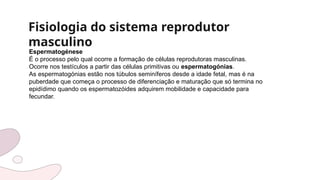 Fisiologia do sistema reprodutor
masculino
Espermatogénese
É o processo pelo qual ocorre a formação de células reprodutoras masculinas.
Ocorre nos testículos a partir das células primitivas ou espermatogónias.
As espermatogónias estão nos túbulos seminíferos desde a idade fetal, mas é na
puberdade que começa o processo de diferenciação e maturação que só termina no
epidídimo quando os espermatozóides adquirem mobilidade e capacidade para
fecundar.
 