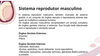 Sistema reprodutor masculino
O sistema reprodutor masculino, também chamado de sistema
genital, é um conjunto de órgãos sexuais e reprodutores através dos
quais se multiplica a espécie humana.
Os órgãos sexuais masculinos compreendem um arranjo complexo
de órgãos genitais internos e externos. Sua função está relacionada
com a reprodução e atividade sexual.
Órgãos Genitais Externos:
-Escroto;
-Pénis
Órgãos Genitais Internos:
-Gónadas: testículos;
-Ductos: epidídimo, ducto deferente, ducto ejaculatório;
-Glândulas acessórias: vesículas seminais, glândulas Bulbo-uretrais e
a próstata
 