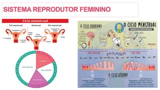 SISTEMA REPRODUTOR FEMININO
 