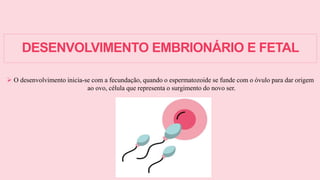 DESENVOLVIMENTO EMBRIONÁRIO E FETAL
 O desenvolvimento inicia-se com a fecundação, quando o espermatozoide se funde com o óvulo para dar origem
ao ovo, célula que representa o surgimento do novo ser.
 