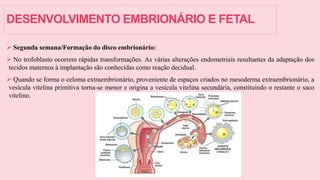 DESENVOLVIMENTO EMBRIONÁRIO E FETAL
 Segunda semana/Formação do disco embrionário:
 No trofoblasto ocorrem rápidas transformações. As várias alterações endometriais resultantes da adaptação dos
tecidos maternos à implantação são conhecidas como reação decidual.
 Quando se forma o celoma extraembrionário, proveniente de espaços criados no mesoderma extraembrionário, a
vesícula vitelina primitiva torna-se menor e origina a vesícula vitelina secundária, constituindo o restante o saco
vitelino.
 
