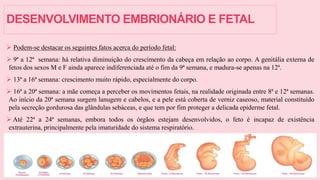 DESENVOLVIMENTO EMBRIONÁRIO E FETAL
 Podem-se destacar os seguintes fatos acerca do período fetal:
 9ª a 12ª semana: há relativa diminuição do crescimento da cabeça em relação ao corpo. A genitália externa de
fetos dos sexos M e F ainda aparece indiferenciada até o fim da 9ª semana, e madura-se apenas na 12ª.
 13ª a 16ª semana: crescimento muito rápido, especialmente do corpo.
 16ª a 20ª semana: a mãe começa a perceber os movimentos fetais, na realidade originada entre 8ª e 12ª semanas.
Ao início da 20ª semana surgem lanugem e cabelos, e a pele está coberta de verniz caseoso, material constituído
pela secreção gordurosa das glândulas sebáceas, e que tem por fim proteger a delicada epiderme fetal.
 Até 22ª a 24ª semanas, embora todos os órgãos estejam desenvolvidos, o feto é incapaz de existência
extrauterina, principalmente pela imaturidade do sistema respiratório.
 