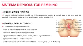 SISTEMA REPRODUTOR FEMININO
 SISTEMA GENITAL FEMININO
O sistema genital feminino é dividido em genitália externa e interna. A genitália externa ou vulva pode ser
estudada em conjunto com o períneo, constituindo a região vulvoperineal.
 GENITÁLIA EXTERNA FEMININA
 A vulva inclui as seguintes estruturas:
- Monte de vênus ou monte púbico (mons veneris).
- Formações labiais: grandes e pequenos lábios.
- Espaço interlabial: vestíbulo, meato uretral, introito vaginal e hímen.
- Órgãos eréteis: clitóris e bulbovestibulares.
- Glândulas acessórias: parauretrais (ou de Skene) e vulvovaginais (ou de Bartholin).
 