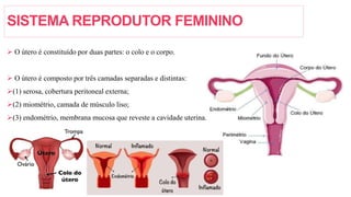 SISTEMA REPRODUTOR FEMININO
 O útero é constituído por duas partes: o colo e o corpo.
 O útero é composto por três camadas separadas e distintas:
(1) serosa, cobertura peritoneal externa;
(2) miométrio, camada de músculo liso;
(3) endométrio, membrana mucosa que reveste a cavidade uterina.
 