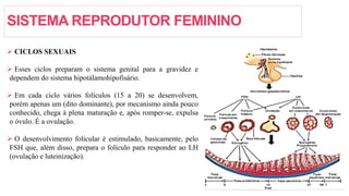 SISTEMA REPRODUTOR FEMININO
 CICLOS SEXUAIS
 Esses ciclos preparam o sistema genital para a gravidez e
dependem do sistema hipotálamohipofisário.
 Em cada ciclo vários folículos (15 a 20) se desenvolvem,
porém apenas um (dito dominante), por mecanismo ainda pouco
conhecido, chega à plena maturação e, após romper-se, expulsa
o óvulo. É a ovulação.
 O desenvolvimento folicular é estimulado, basicamente, pelo
FSH que, além disso, prepara o folículo para responder ao LH
(ovulação e luteinização).
 