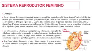 SISTEMA REPRODUTOR FEMININO
 Ovulação
 Sob o estímulo dos estrogênios agindo sobre o centro cíclico hipotalâmico há liberação significativa de LH (pico
do LH) pela adeno-hipófise, fenômeno que permanece por cerca de 24h e induz a ovulação. A postura ovular
ocorre dentro de 24h após o pico do LH, cerca de 2 semanas antes do período menstrual a se instalar, isto é, 14
dias após o 1º dia da menstruação, no ciclo usual de 28 dias. O tempo decorrido entre a ovulação e o início do
ciclo seguinte é quase sempre constante, mas a fase folicular (proliferativa) pode ter duração variável.
 Os estrogênios e, sobretudo, a progesterona, estimulam a secreção das
glândulas endometriais, preparando, o endométrio para a implantação do
ovo. Fertilizado o óvulo, o corpo lúteo aumenta de tamanho e passa a
constituir o corpo lúteo gravídico, que tem a produção hormonal aumentada.
 Se o óvulo não foi fecundado, o corpo lúteo começa a degenerar-se cerca
de 10 dias depois da ovulação e se transforma em cicatriz branca – o corpus
albicans.
 