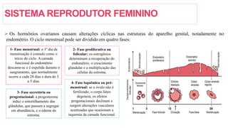 SISTEMA REPRODUTOR FEMININO
 Os hormônios ovarianos causam alterações cíclicas nas estruturas do aparelho genital, notadamente no
endométrio. O ciclo menstrual pode ser dividido em quatro fases:
1- Fase menstrual: o 1º dia da
menstruação é contado como o
início do ciclo. A camada
funcional do endométrio
descama-se e é expelida durante o
sangramento, que normalmente
ocorre a cada 28 dias e dura de 3
a 5 dias.
2- Fase proliferativa ou
folicular: os estrogênios
determinam a recuperação do
endométrio, o crescimento
glandular e a multiplicação das
células do estroma.
3- Fase secretória ou
progestacional: a progesterona
induz o entortilhamento das
glândulas, que passam a segregar
em abundância, e o edema do
estroma.
4- Fase isquêmica ou pré-
menstrual: se o óvulo não é
fertilizado, o corpo lúteo
degenera, os efeitos
progestacionais declinam e
surgem alterações vasculares
acentuadas que ocasionam a
isquemia da camada funcional.
 