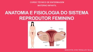 ANATOMIA E FISIOLOGIA DO SISTEMA
REPRODUTOR FEMININO
CURSO TÉCNICO DE ENFERMAGEM
MATERNO INFANTIL
DOCENTE: ENF. WESLLEY MAIA
 