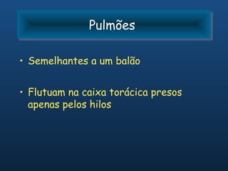 Pulmões
              Pulmões

• Semelhantes a um balão


• Flutuam na caixa torácica presos
  apenas pelos hilos
 