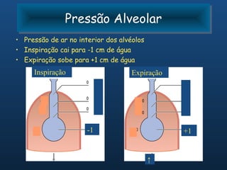 Pressão Alveolar
               Pressão Alveolar
• Pressão de ar no interior dos alvéolos
• Inspiração cai para -1 cm de água
• Expiração sobe para +1 cm de água
     Inspiração                     Expiração




                      -1                        +1


                                           ↑
 