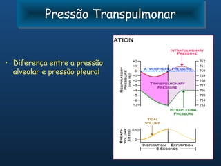Pressão Transpulmonar
           Pressão Transpulmonar


• Diferença entre a pressão
  alveolar e pressão pleural
 