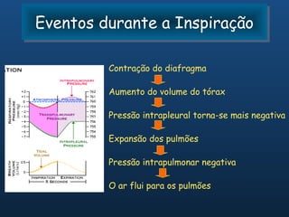 Eventos durante a Inspiração
Eventos durante a Inspiração

         Contração do diafragma

         Aumento do volume do tórax

         Pressão intrapleural torna-se mais negativa

         Expansão dos pulmões

         Pressão intrapulmonar negativa

         O ar flui para os pulmões
 