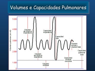 Volumes e Capacidades Pulmonares
Volumes e Capacidades Pulmonares
 