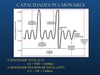 CAPACIDADES PULMONARES




CAPACIDADE VITAL (CV)
          CI + VRE = 4.600ml
CAPACIDADE PULMONAR TOTAL (CPT)
          CV + VR = 5.800ml
 